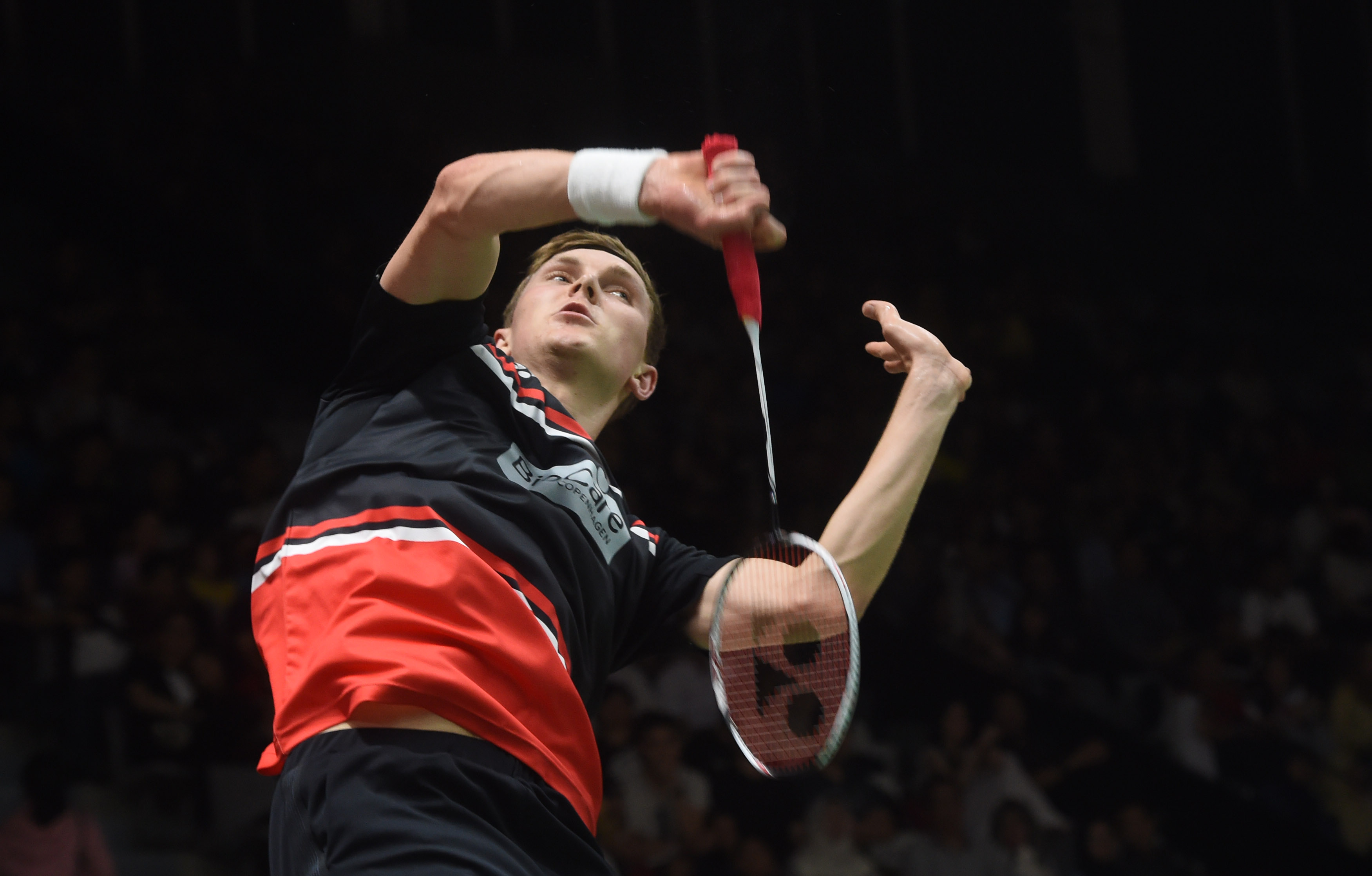 这不仅引发 这不仅引发